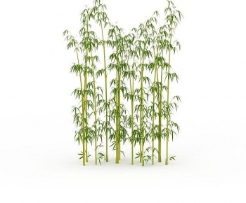Modern Bamboo-ID:843123918