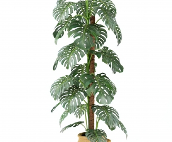 Modern Ground Green Plant Potted Plants-ID:367166046