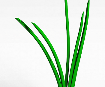 Modern Flowers And Grass-ID:317744977