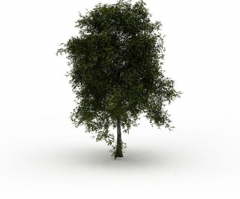 Modern Tree-ID:970196012