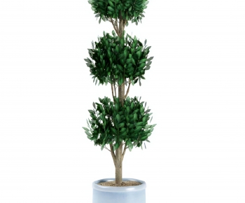 Modern Ground Green Plant Potted Plants-ID:735853913