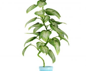 Modern Ground Green Plant Potted Plants-ID:488018996