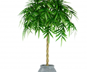 Modern Ground Green Plant Potted Plants-ID:504858022