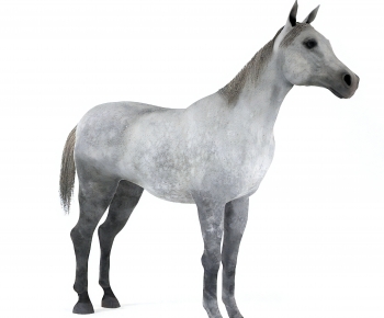 Modern Animal Horse-ID:834285022