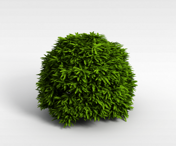 Modern Shrubbery-ID:262453085