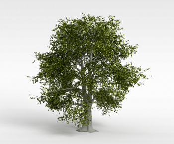 Modern Tree-ID:421319057
