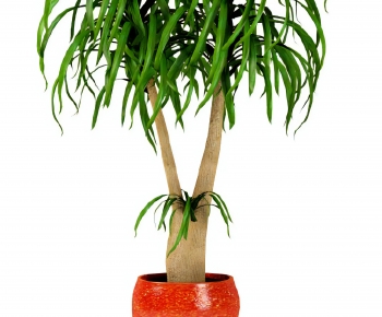Modern Ground Green Plant Potted Plants-ID:845760117