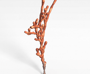 Modern Aquatic Green Plant-ID:300234081