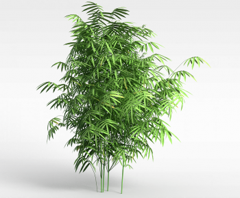 Modern Bamboo-ID:411412007