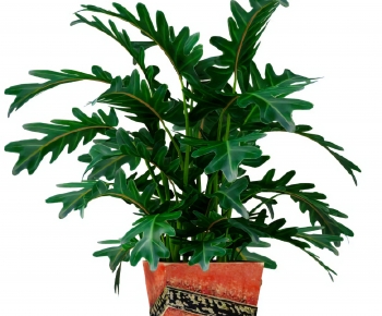 Modern Ground Green Plant Potted Plants-ID:596055987