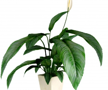 Modern Potted Green Plant-ID:596339712