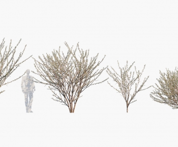 Modern Tree-ID:813720249