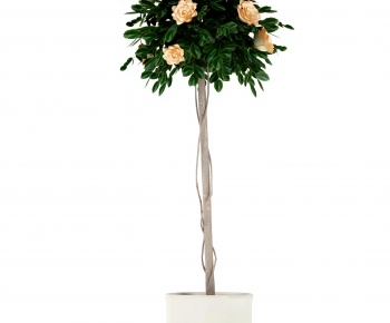 Modern Ground Green Plant Potted Plants-ID:462120064