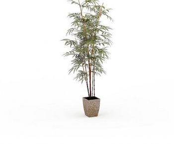 Modern Ground Green Plant Potted Plants-ID:133877997