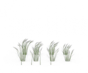 Modern The Grass-ID:977011922