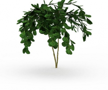 Modern Tree-ID:369559054