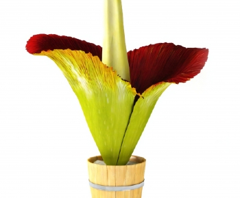Modern Potted Green Plant-ID:753266105