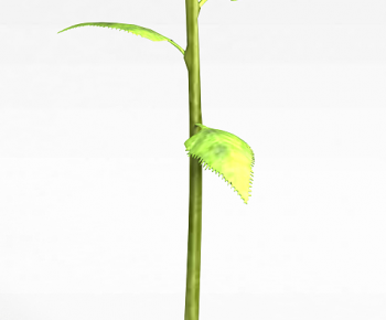 Modern Flowers And Grass-ID:442341095