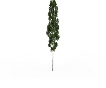 Modern Tree-ID:425936949