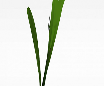 Modern The Grass-ID:757097017