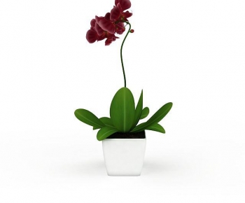 Modern Potted Green Plant-ID:887243991