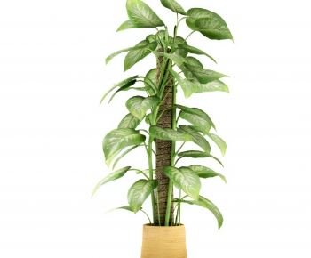 Modern Ground Green Plant Potted Plants-ID:429943082