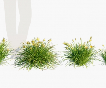 Modern Flowers And Grass-ID:885555031