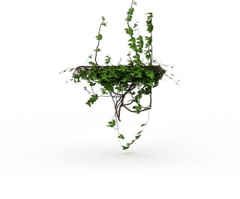 Modern Vine-ID:293729079