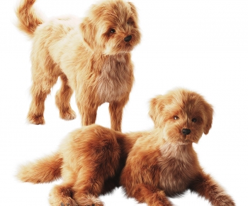 Modern Animal Dog-ID:806549079