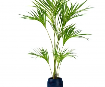 Modern Ground Green Plant Potted Plants-ID:880867969