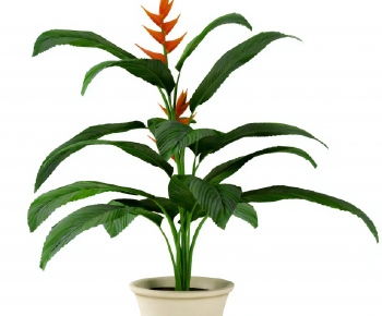 Modern Ground Green Plant Potted Plants-ID:424850947
