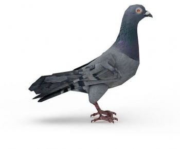 Modern Flying Animals-ID:141702895