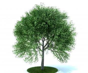 Modern Tree-ID:855906967