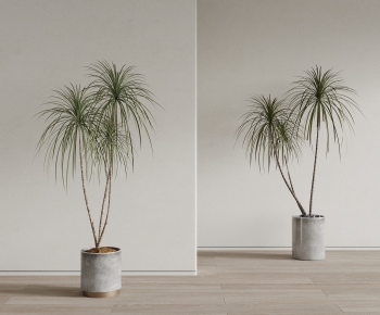 Modern Ground Green Plant Potted Plants-ID:352390059