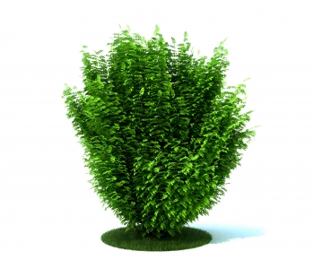 Modern Tree-ID:226317884