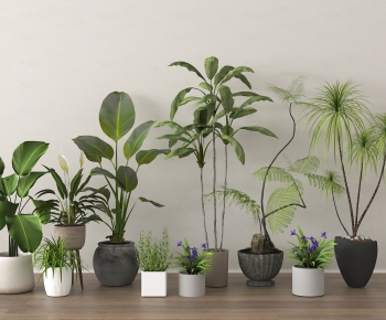 现代落地绿植盆栽组合-ID:575850013