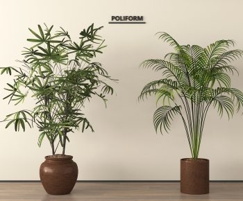 Modern Ground Green Plant Potted Plants-ID:439989091