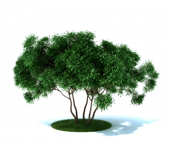 Modern Tree-ID:197110226