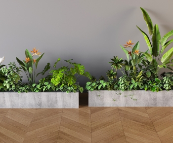 Modern Plant Landscaping-ID:914033898