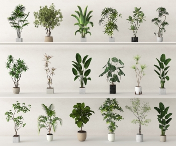 Modern Ground Green Plant Potted Plants-ID:709549905