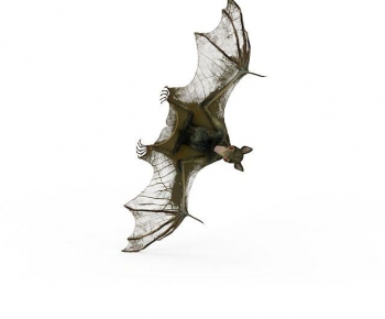 Modern Flying Animals-ID:277839906