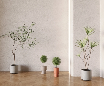 Modern Ground Green Plant Potted Plants-ID:232019905