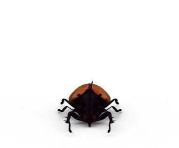 Modern Reptile-ID:747092015