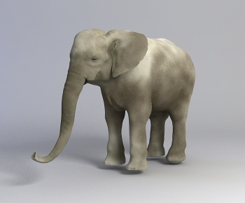 Modern Mammal-ID:460361961