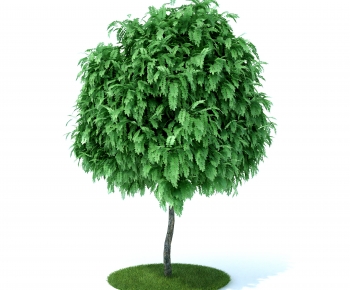 Modern Tree-ID:103605997