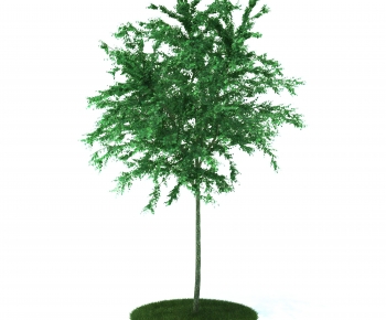 Modern Tree-ID:661242011