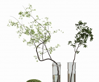 Modern Aquatic Green Plant-ID:330187085