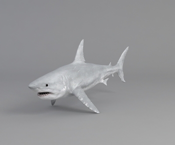 Modern Mammal-ID:321355108