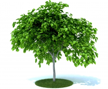 Modern Tree-ID:374623062