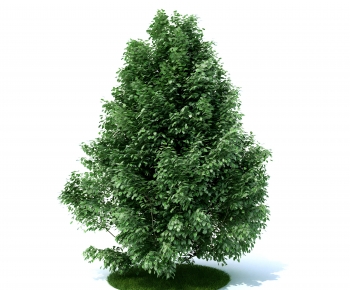 Modern Tree-ID:692029026